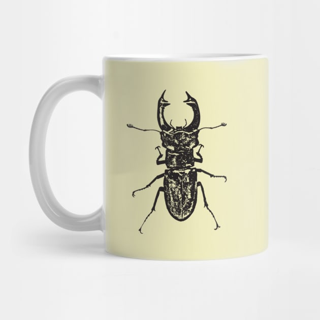 Stag beetle by Guardi